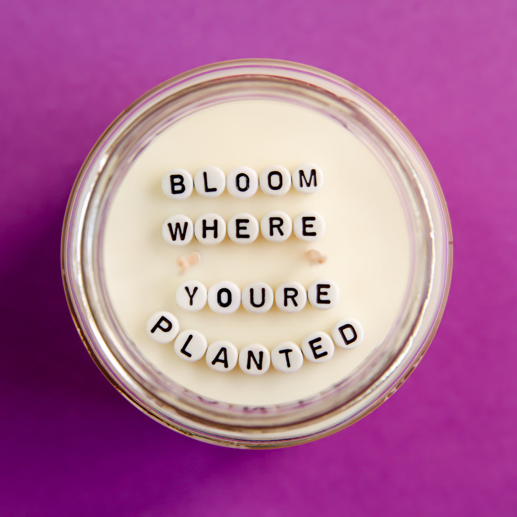 Bloom where you're planted